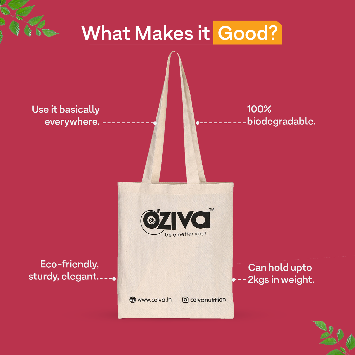 Plain Canvas Tote Bags Manufacturer Supplier from Delhi India